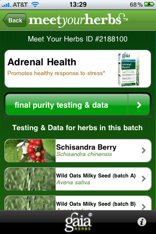 Meet Your Herbs